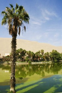 225481_10150165624813212_4552885_n