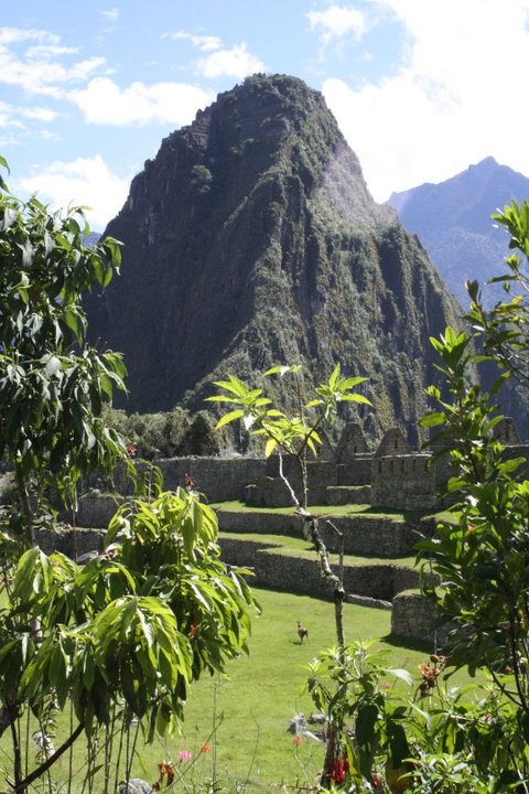 When the Gringos met the Magic Miracle Machu Picchu&nbsp;Men