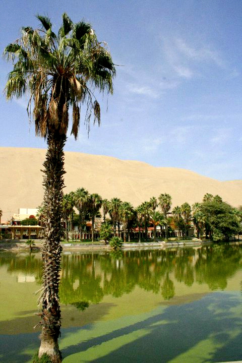 Sandboarding and Buggying in the&nbsp;Desert