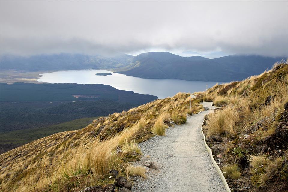 18813691_10154800548073212_57613677772633938_n