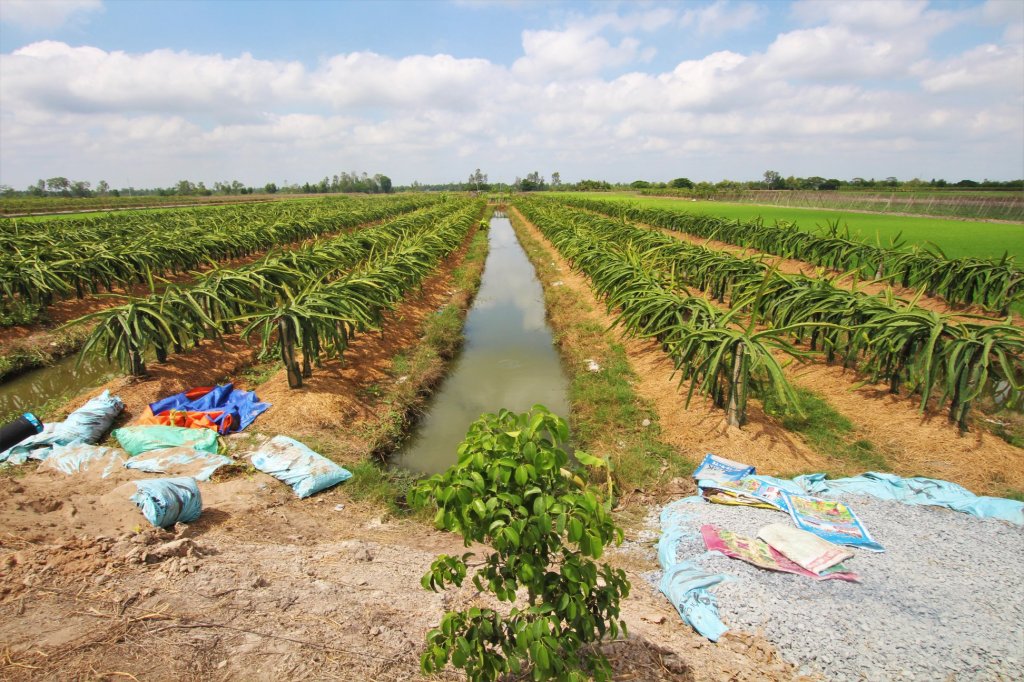 How to Travel Responsibly in&nbsp;Vietnam