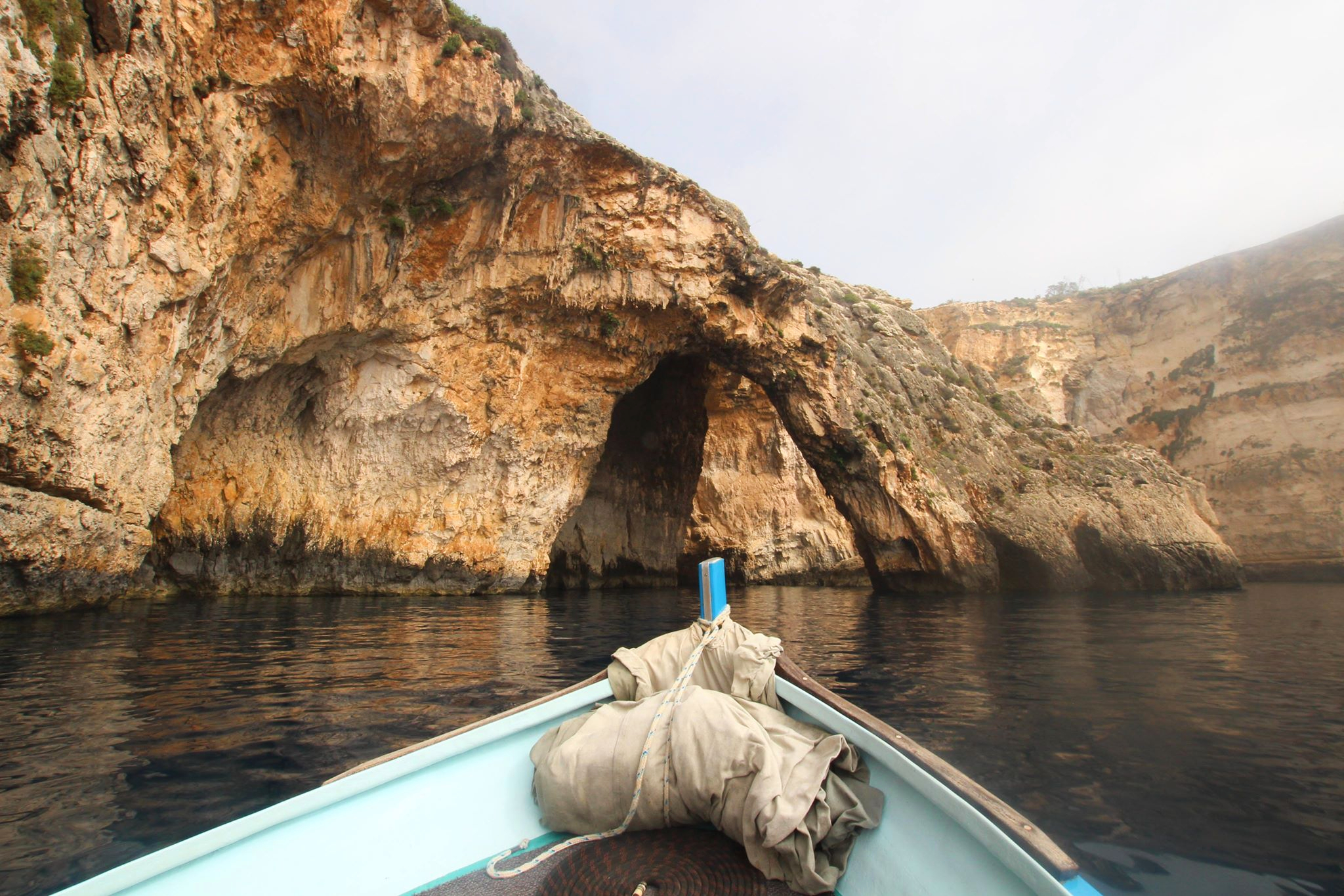 37084625_10155868429963212_1294175664642981888_n (1)