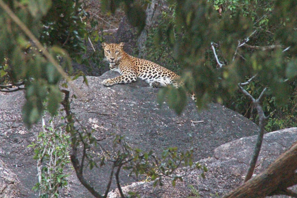 Solo in Sri Lanka: My Top 10&nbsp;Moments